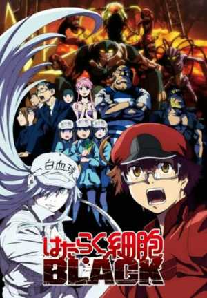 Hataraku Saibou Black (TV)