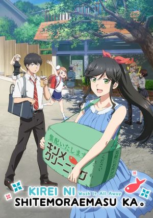 Kirei ni Shitemoraemasu ka